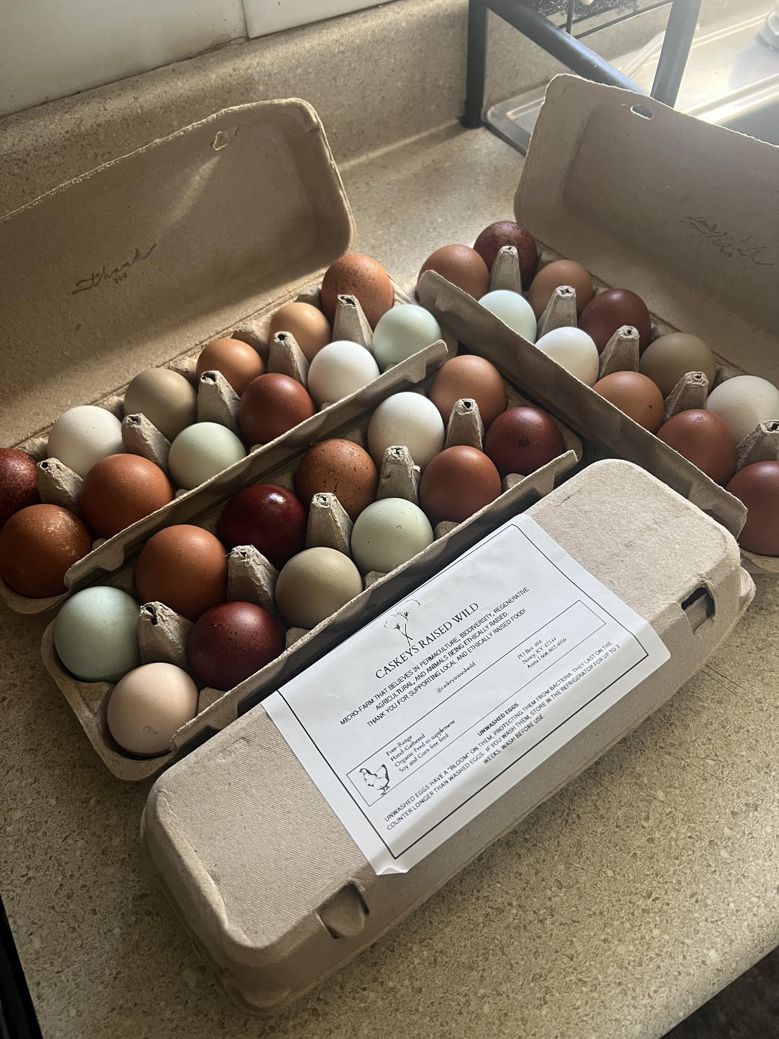 Fresh Eggs from Soy & Corn Free Fed Hens