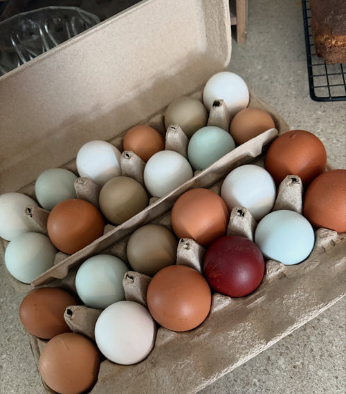 Fresh Eggs from Soy & Corn Free Fed Hens